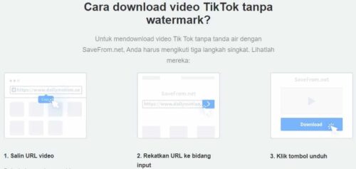 Cara-Memanfaatkan-Situs-SaveFrom-TikTok-Untuk-Download-Video-TikTok