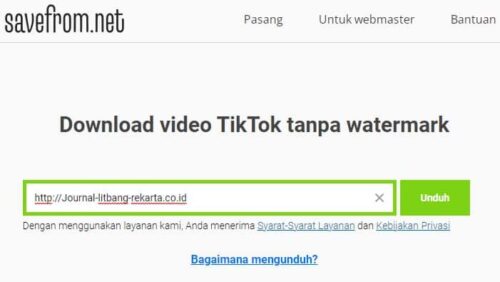 Mengenai-Situs-Downloader-Video-TikTok-SaveFrom-Net-TikTok