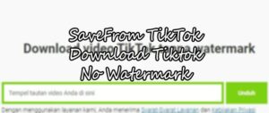 SaveFrom-Net-TikTok-Download-TikTok-Mp3-Mp4-Tanpa-Watermark