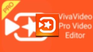 Vivavideo-Pro